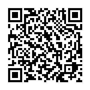 但霍君白想起自己在吕诚所守阵眼时遭遇的强大力量二维码生成