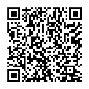 但霍君白挥出的剑气带来的冲击力却将这巨大的天魔鳌推的翻了个跟头二维码生成