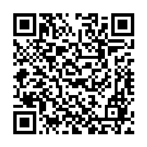 但露出一个你踩到狗屎而且还是个大狗屎窝的不屑神色二维码生成