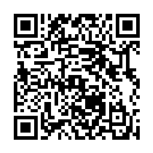 但青木部落的人依然认为这是守护他们部落的圣树二维码生成