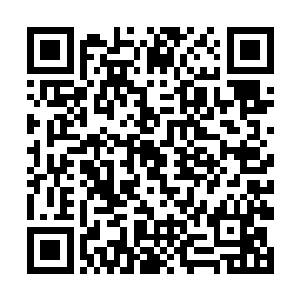 但风天翔和叶婉依分明就只是像个朋友一样打打招呼二维码生成