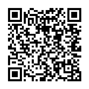 但驾驭者的神魂和巨神兵的主控晶脑原本就是接驳在一起的二维码生成