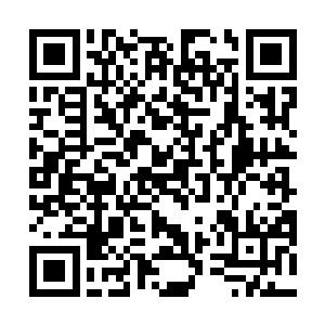 但高扬不能指望真的会有人把克鲁尼的尸体送到他身前二维码生成