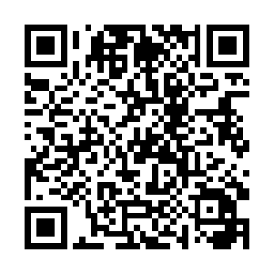 但鬣狗却发现其中一辆货厢里堆满了乱七八糟的枪械二维码生成