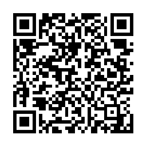 但魏王和信陵侯的基情故事是某个腐女作者给我提供的创意二维码生成