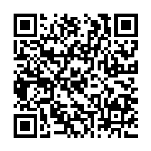 但魔武学院这边要多出两个九阶魔导师顶峰的强者二维码生成