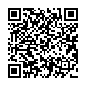 但黑龙完全不相信沈笑薇会把三江的生意全权交给自己二维码生成