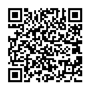 但齐修远只是口头上让他以后做事更加深思熟虑些就不管他了二维码生成