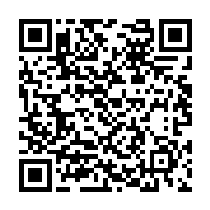 位于上风处的人和兽并不能闻到那股浓浓的血腥味二维码生成