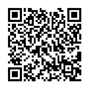 位于第八号车间一面墙壁上的显示屏突然亮了起来二维码生成