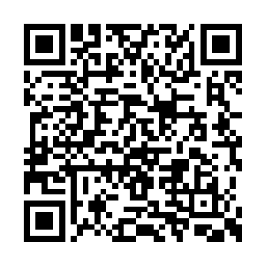 位面之心的引导精灵就会告诉你你想知道的一切二维码生成