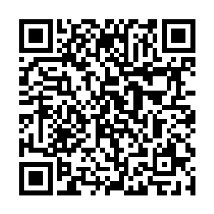 低头一看都能见到中空的骨头里面还有骨髓在蠕动呢二维码生成