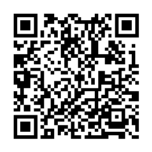 低头时衣领口那一抹白色让岳恒的内心微微一动二维码生成