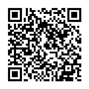 低头看了一眼身上几乎快要将自己整个都盖住的大衣二维码生成
