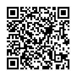 低头看了眼手中那几颗已经消失的无影无踪的一阶魔核二维码生成