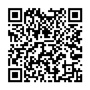 低头瞄了一眼自己不算特别柔嫩却也还纤细的小手二维码生成