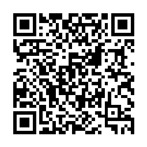 低沉而富有磁性的声音隔着人海传进阮荷黎的耳朵里二维码生成