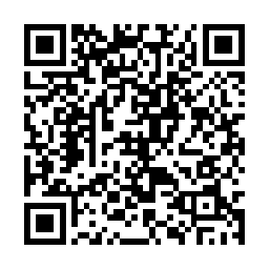 住在另一个房间的龙鑫他们过来才发现多了一个人二维码生成