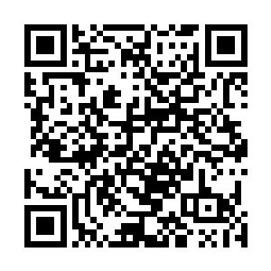 住在对面的薛静依听见哥哥上楼的声音时就悄悄打开房门二维码生成