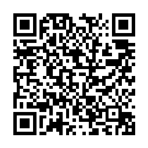 体内修炼出一个宇宙的许紫烟都会轻易击败水静波二维码生成