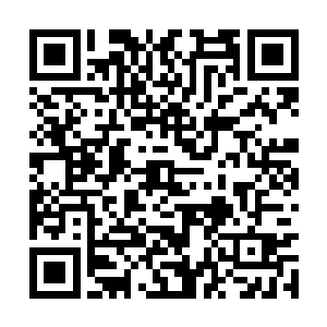 体内却是在调动着雷霆血脉与天火血脉的两股力量二维码生成