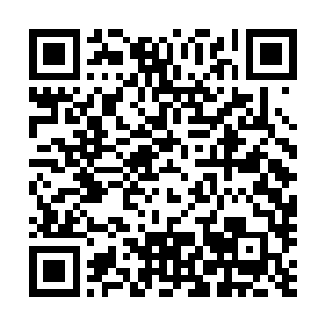 体内原本缓慢流动的五彩灵气突然像泼进一锅热油沸腾起来二维码生成