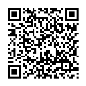 体内好几条筋脉都被对方的那道霸道的劲气严重伤到了二维码生成