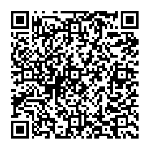 体内由大蟠桃生出了阳属性灵气和体外被许紫烟吸进来的鬼界阴属性灵气在体内达到了一个微妙的平衡二维码生成