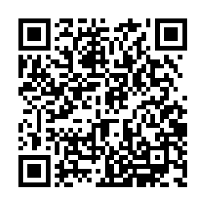 体内的灵珠好像还没动过…赶紧扑了过去就啃咬二维码生成