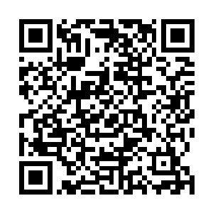 体内的狂暴的能量也是一下子仿佛找到了一个宣泄口一般二维码生成