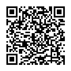 体内的盘古血脉却会给他们带来无尽的力量和神通二维码生成