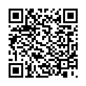 体内的能量会源源不断的被海草吸收二维码生成