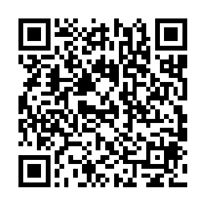 体内的能量直接疯狂的朝着焚天圣莲之中狂涌而去二维码生成