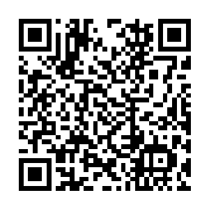 体内的邪气往梓箐脑海中侵蚀……有个声音告诉她二维码生成