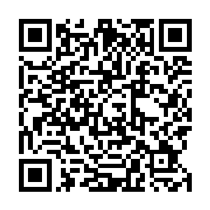 体内真气顿时消耗一大截接着疾速扩大为手掌大小得雷球二维码生成