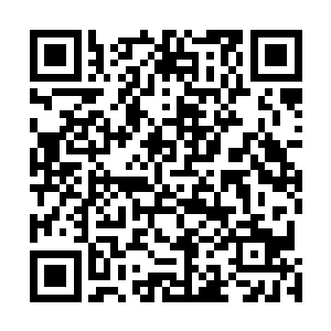 体内积累充分的幼崽才可能在二十几岁的时候提前亚成年二维码生成