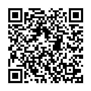 体内达到纳虚境初期巅峰的实力居然有了一丝松动二维码生成