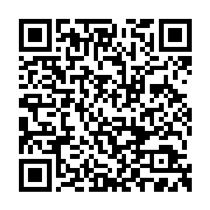 体内那刚刚被并蒂莲控制住的伤势立即开始恶化二维码生成