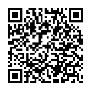 体内那新加入的神赐之力正在不断强化他的力量二维码生成