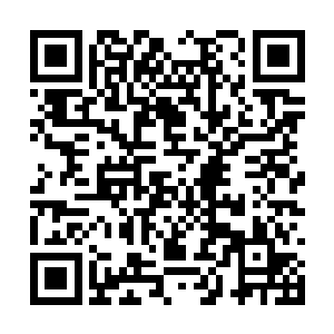 体内飞速奔腾的血液让他的双眼绽放出明亮的光芒二维码生成