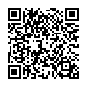 体型暴涨的变异蝗虫就好像将彼此当成了生死大敌一般二维码生成