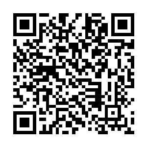 体壮的豪爵竟然一下子被十九次郎用牛尾巴拍到了地上二维码生成