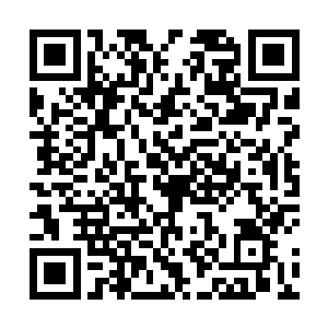 体积上的优势让大多数灵兽都十分有把握战胜人类武者二维码生成