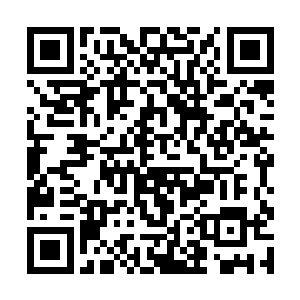 体长几百米的的巨大威武的烛龙法相出现在他的头顶二维码生成