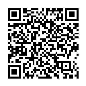 何书蔓的厨艺已经熟练到闭着眼睛都能整出几个菜来的地步二维码生成