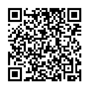 何乱子和李相濡居然相距不久的互相给我发来了消息二维码生成