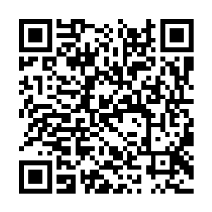 何冲与邓玉庆段老四尚在惊叹图内世界的骤然扩大二维码生成