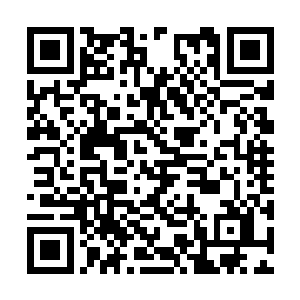 何况他们那边还有一个大杀伤性人体武器的鬼巫在二维码生成