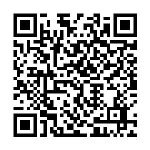 何况他还是为了帮助自己寻找幕后凶手所做的伟大牺牲二维码生成