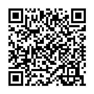 何况其他人想出现在镜头内都不一定有这个机会二维码生成